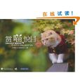 賞喵悅目 賞喵悅目