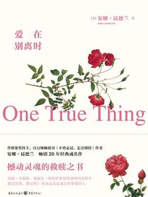 愛在別離時(【美】安娜·昆德蘭所著小說)