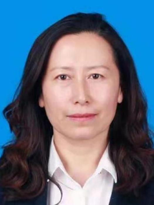 宋麗(黑龍江省齊齊哈爾市碾子山區政府副區長) 宋麗(黑龍江省齊齊哈爾市碾子山區政府副區長)