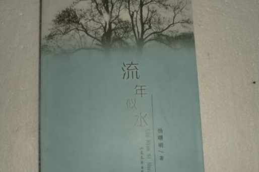 流年似水(2008年山東文藝出版社出版的圖書) 流年似水(2008年山東文藝出版社出版的圖書)