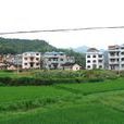汶山村 汶山村