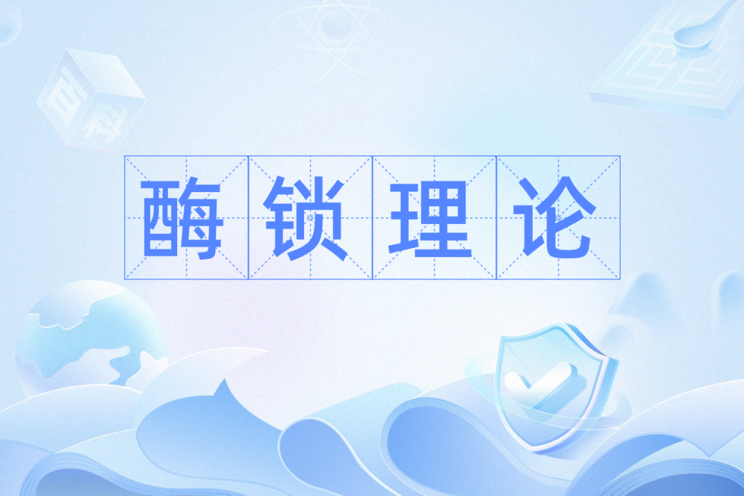酶鎖理論 酶鎖理論