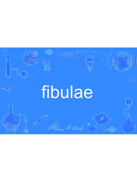 fibulae fibulae