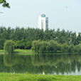 九龍淵公園