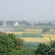洋田村(廣東廣州市蘿崗區下轄村) 洋田村(廣東廣州市蘿崗區下轄村)