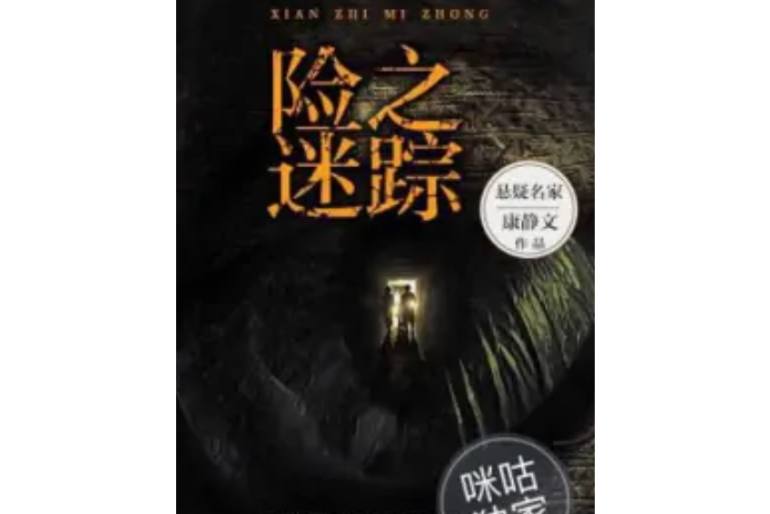 險之迷蹤 險之迷蹤