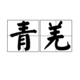 青羌 青羌