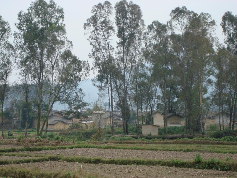 鐘所村 鐘所村