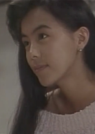 101次求婚(日本1991年武田鐵矢淺野溫子主演電視劇)
