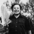 張徹(香港導演,香港星光大道表彰人員之一) 張徹(香港導演,香港星光大道表彰人員之一)