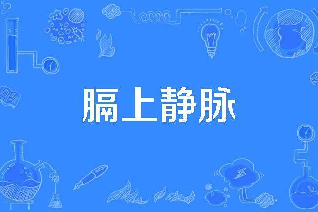 膈上靜脈 膈上靜脈