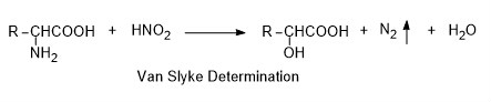 范氏氨基氮測定法