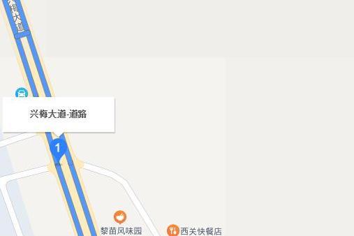 興梅大道 興梅大道