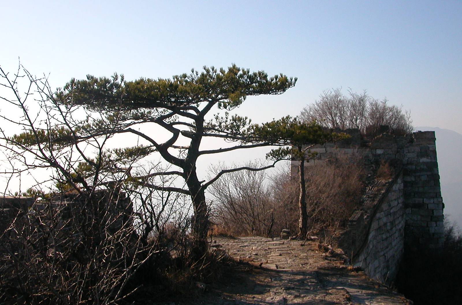 松樹山村(新平縣建興鄉建興村民委員會下轄村) 松樹山村(新平縣建興鄉建興村民委員會下轄村)
