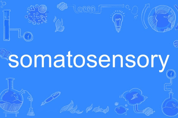 somatosensory somatosensory