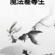 魔法差等生 魔法差等生