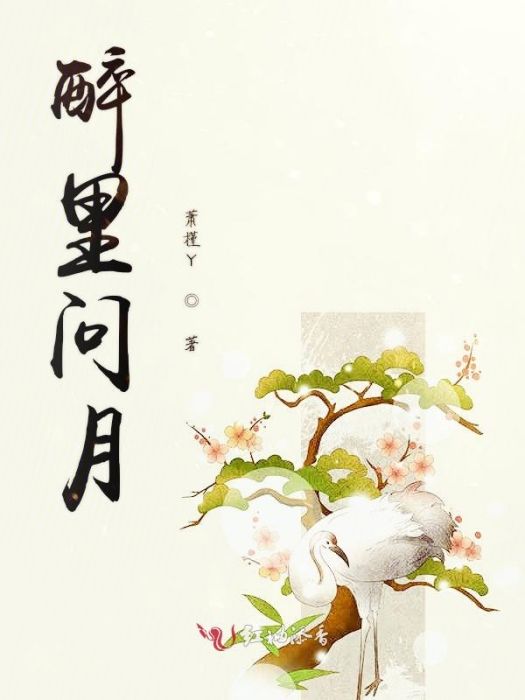 醉里問月 醉里問月