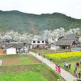 沙坪村(湖北鹹寧市崇陽縣沙坪鎮下轄村) 沙坪村(湖北鹹寧市崇陽縣沙坪鎮下轄村)
