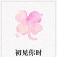 初見你時 初見你時