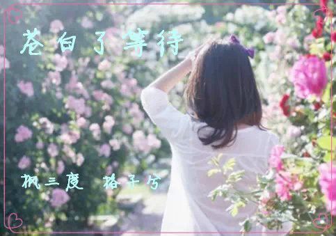 蒼白了等待 蒼白了等待