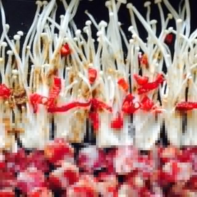 雙味金針菇 雙味金針菇