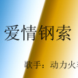 愛情鋼索 愛情鋼索