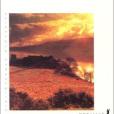 Sunset song(1997年Métailié出版的圖書) Sunset song(1997年Métailié出版的圖書)
