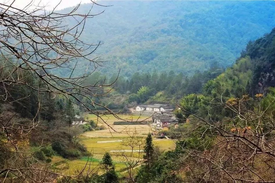 下魁村 下魁村