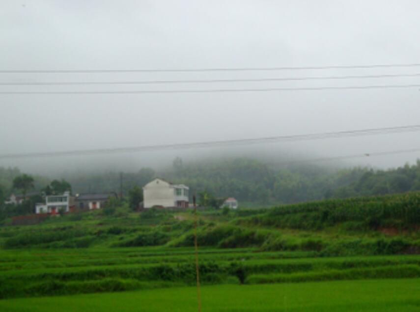 勤坑村 勤坑村