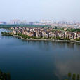 塔子湖 塔子湖