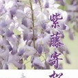 紫藤寄松 紫藤寄松