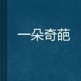 一朵奇葩 一朵奇葩