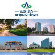 北京經濟技術開發區(亦莊經濟技術開發區)