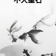 不滅星石 不滅星石