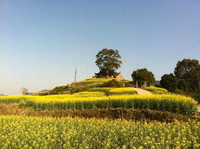 南屏梯田 南屏梯田