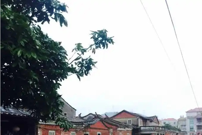 溪頭村(福建省泉州市泉港區塗嶺鎮) 溪頭村(福建省泉州市泉港區塗嶺鎮)