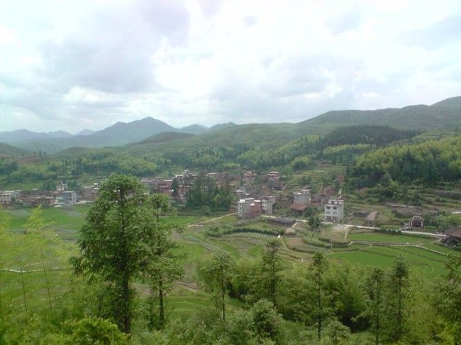 麻東村 麻東村