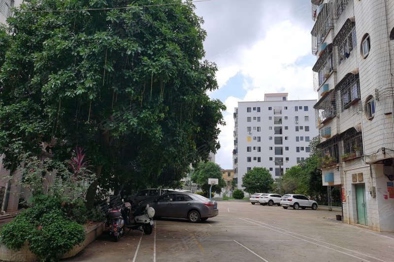 新慶東路