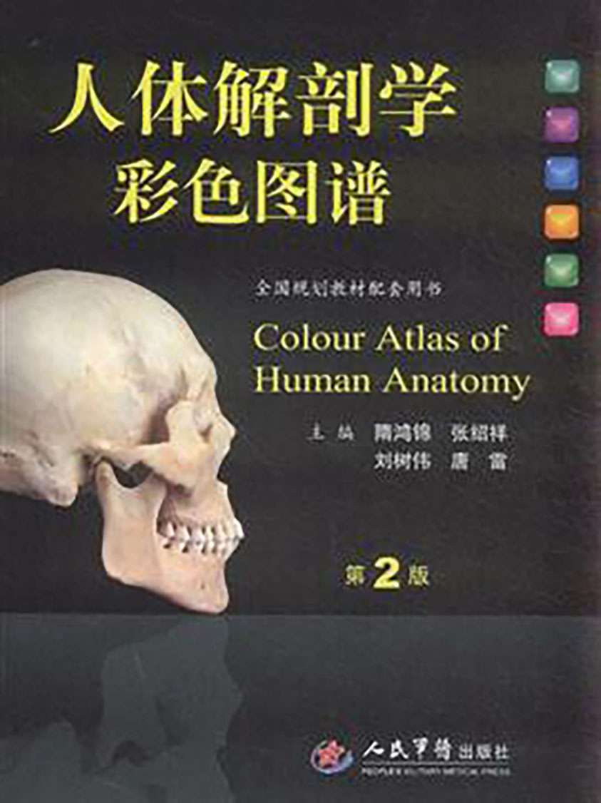人體解剖學彩色圖譜（第2版）