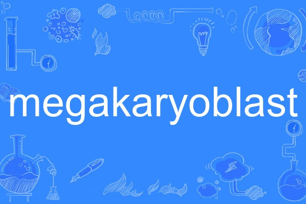 megakaryoblast megakaryoblast