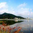 白藤湖 白藤湖
