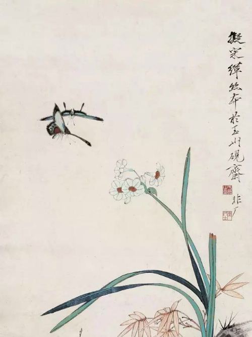 水仙蝴蝶 水仙蝴蝶