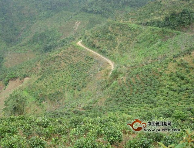 溫竹村 溫竹村