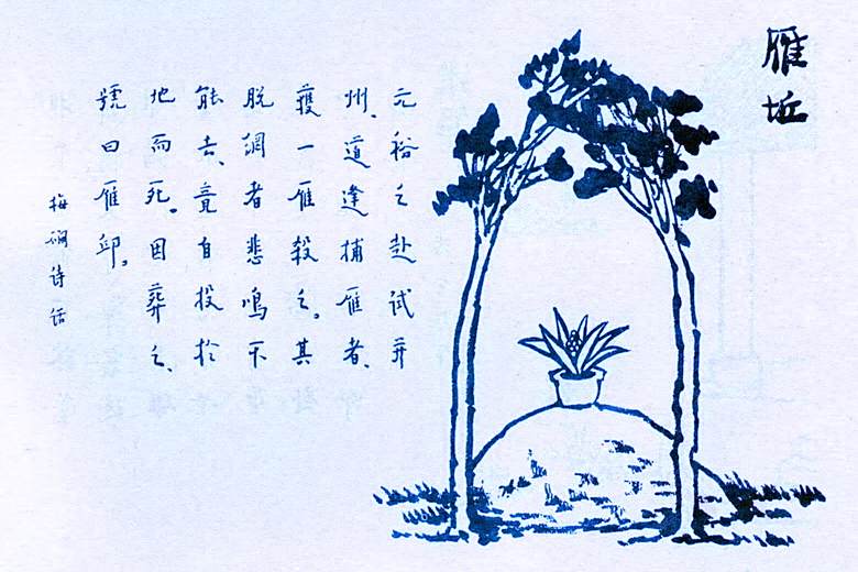 雁丘(豐子愷《護生畫集》中的文章) 雁丘(豐子愷《護生畫集》中的文章)