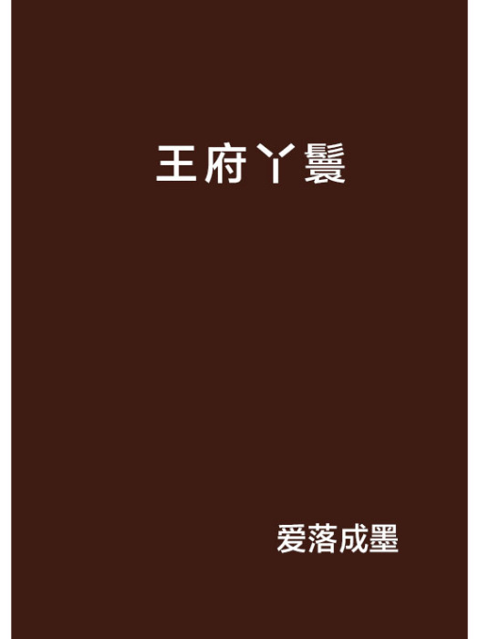 王府丫鬟 王府丫鬟