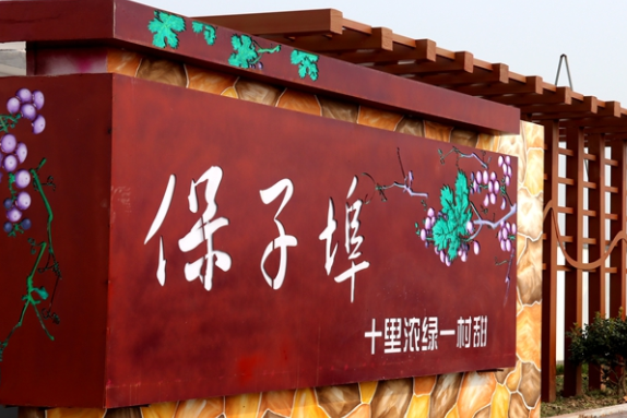 保子埠村 保子埠村