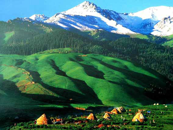 溫宿托木爾峰國家高山自然保護區