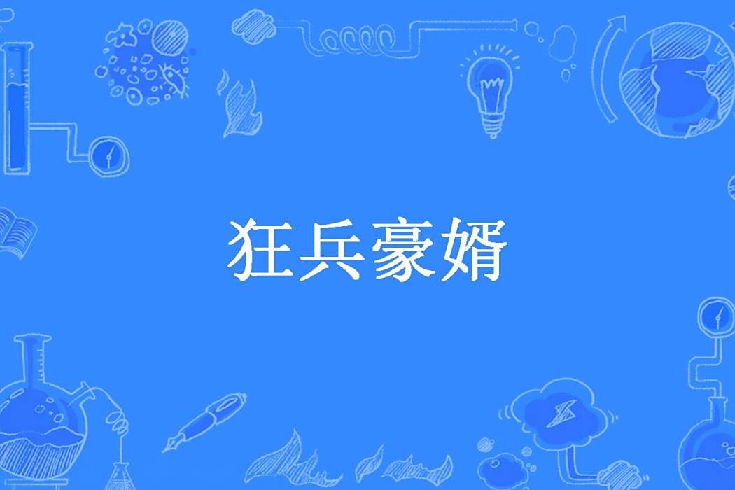 狂兵豪婿 狂兵豪婿