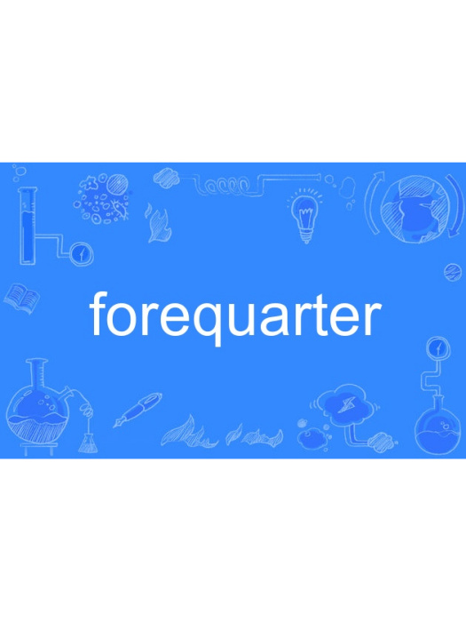 forequarter forequarter