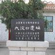 大汶口 大汶口